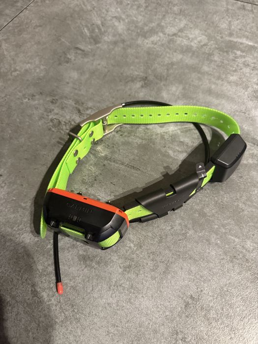Garmin Alpha TT 25