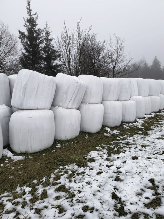 Sprzedam bele sianokiszonki