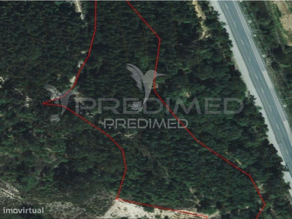 LOUSA. Rustic plot of land measuring 8,760 m²