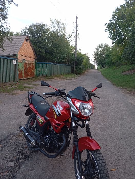Продам Мустанг регіон 150