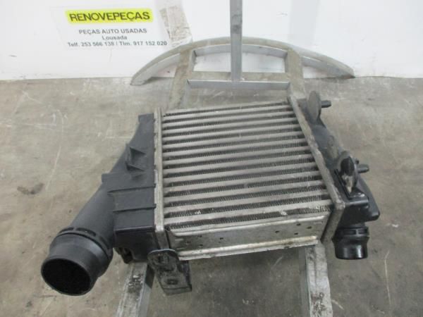 Radiador do intercooler RENAULT Twingo II (CN0_)