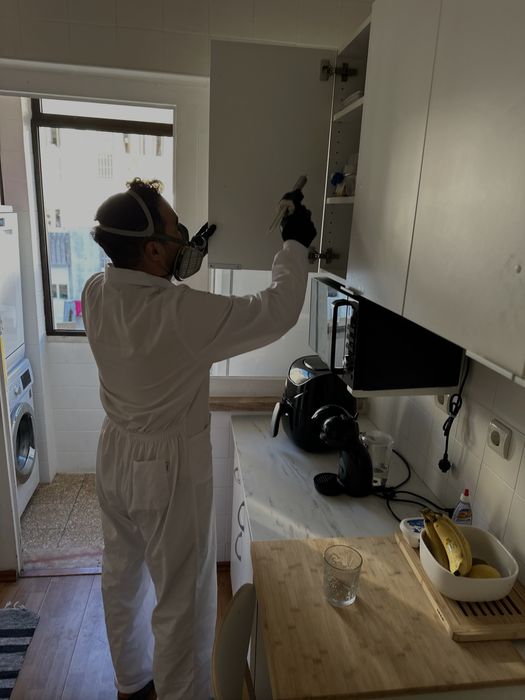 DESINFESTAÇÃO CONTROLO DE PRAGAS PERCEVEJOS BARATAS PULGAS TÉRMITAS