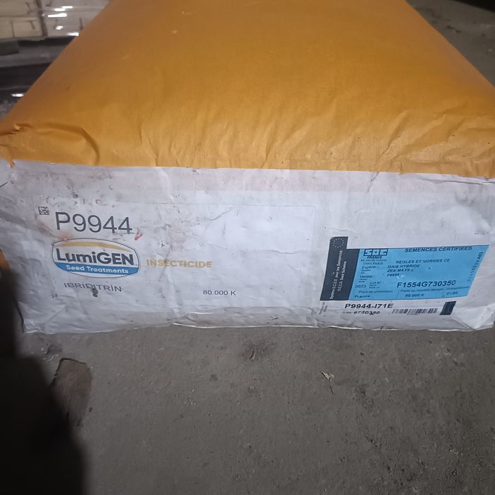 Pioneer 9944 nasiona