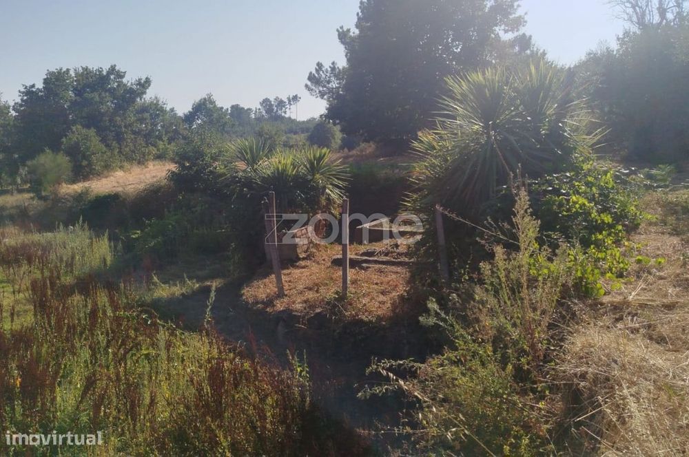 Terreno, Santiago de Cassurrães e Póvoa de Cervães