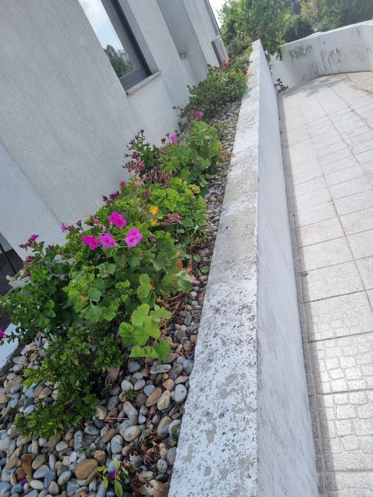 Pedras para jardim