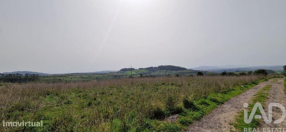 Terreno Agrícola em Mafra