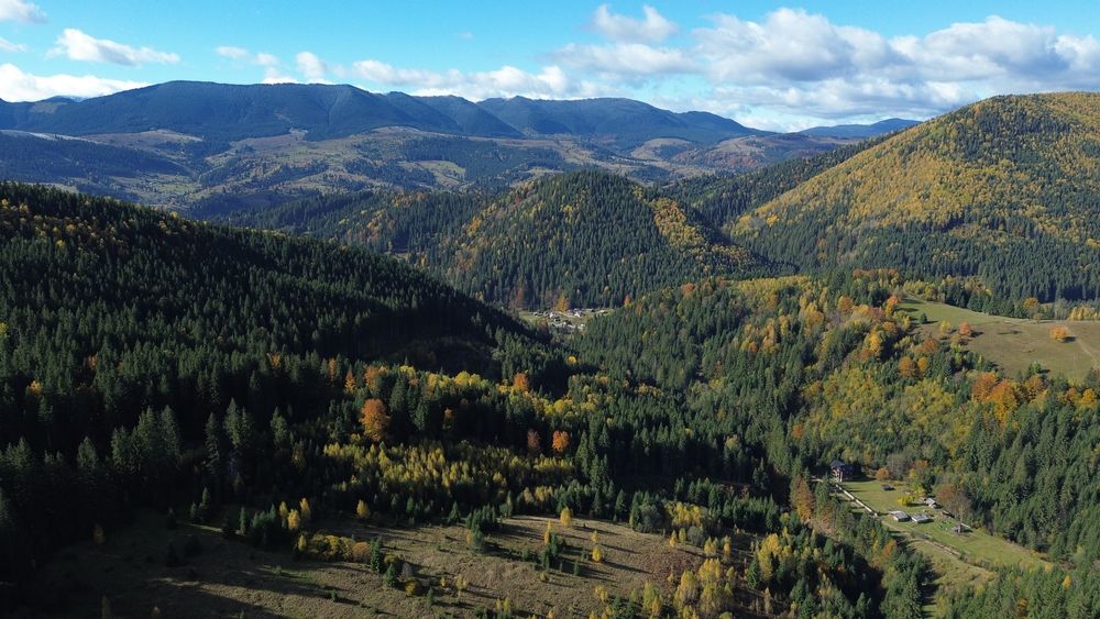 Земля під будову, межує з лісом, гарний доїзд