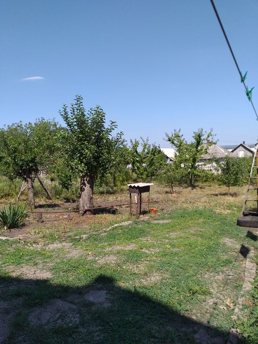 Продам дом. Аренды нет.