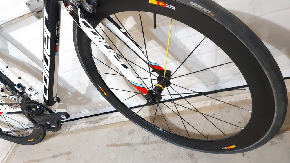 Coluer Invicta carbono  t50