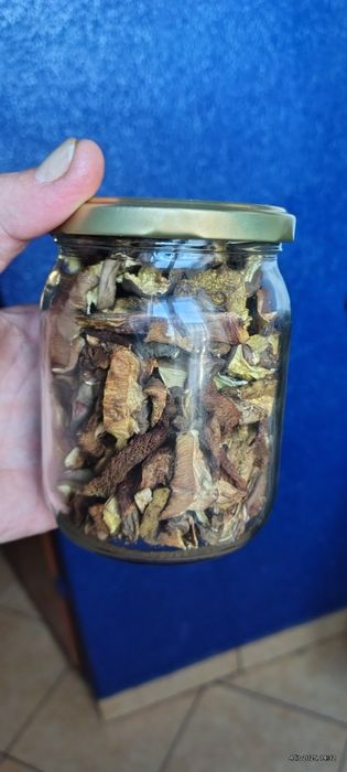 Grzyby suszone tegorocznne