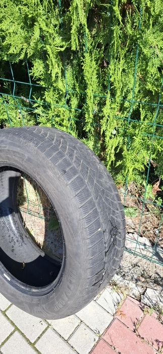 Opony zimowe 19 do suv