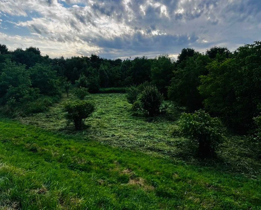 Na sprzedaż atrakcyjna działka rolna o dużym potencjale w Krakowie