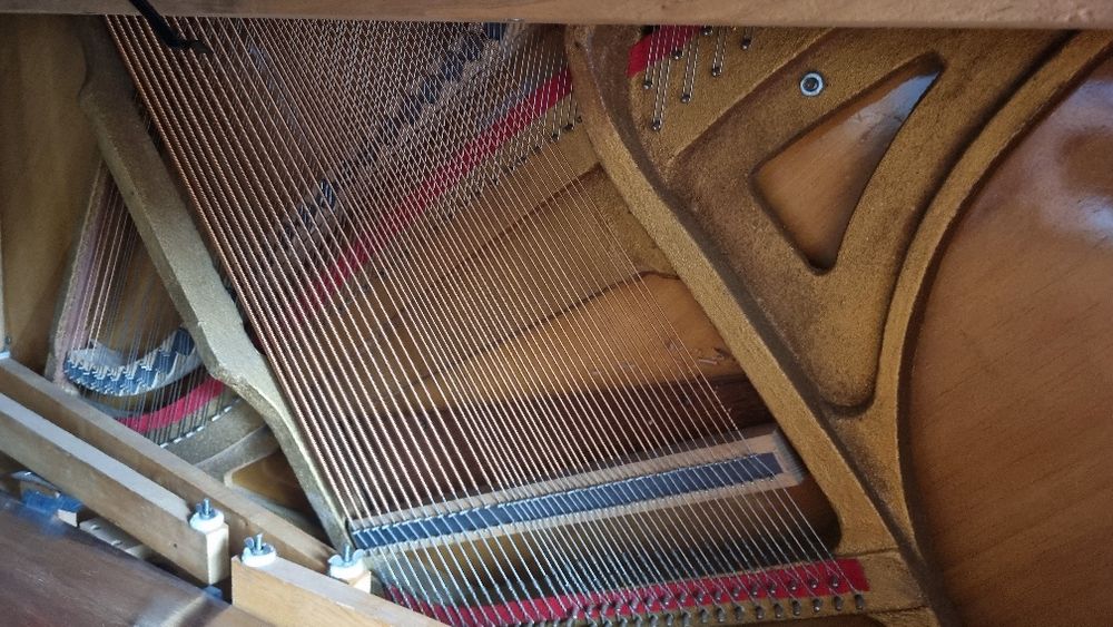 Vendo PIANO HAEUSSLER