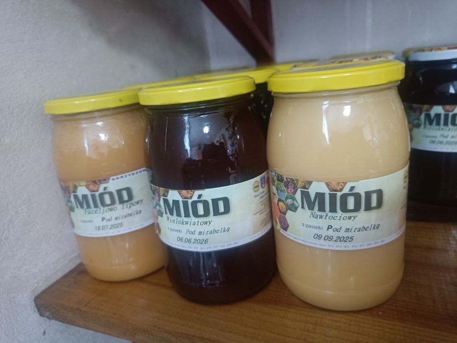 Naturalny miód pszczeli z maleńkiej pasieki
