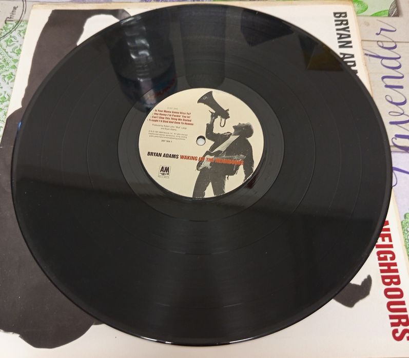 Discos de vinil Bryan Adams