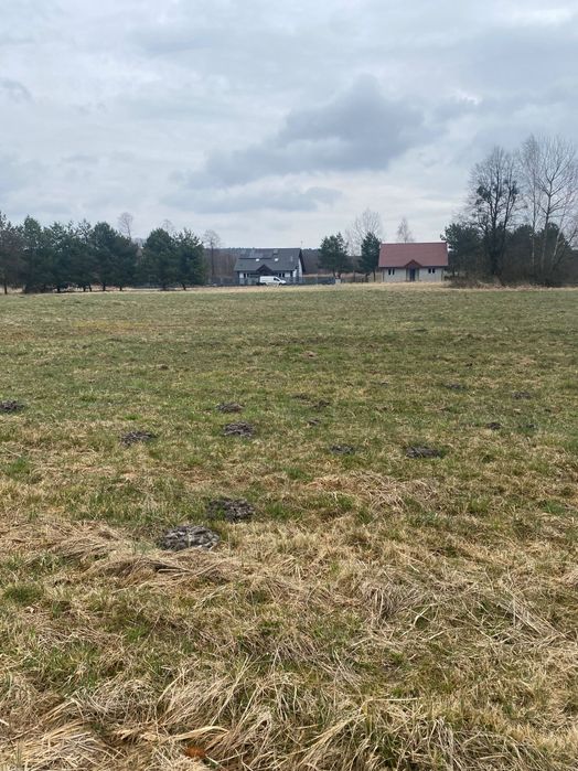 Sprzedam 30 arowa działkę rolną - pod zabudowę, przyczepę - Malerzow