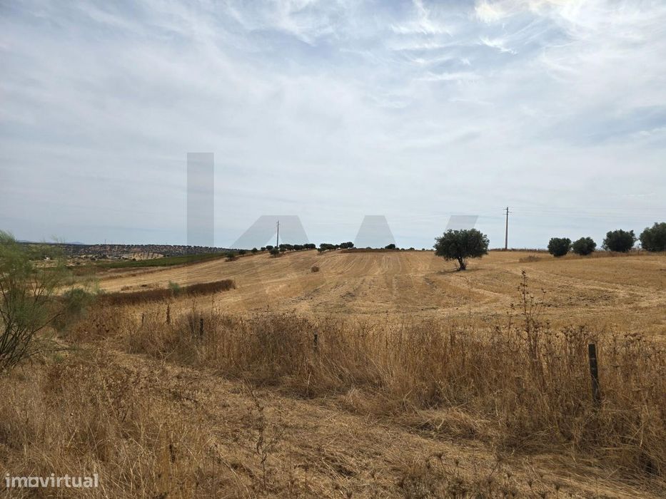 Terrenos agrícola junto à aldeia de Pedrógão do Alentejo - Vidigueira
