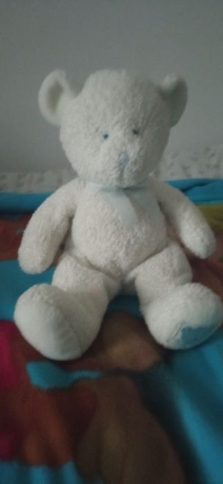 Misiek przytulanka w bardzo dobrym stanie