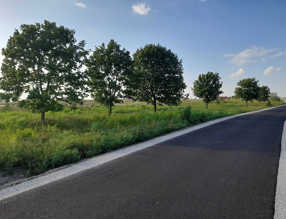 Wyjątkowa działka rolno-budowlana 3101 m² – Ujazd, 30 km od Poznania