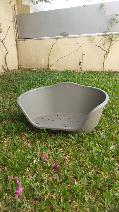 Cama cão pequeno em Pvc / Polipropileno resistente