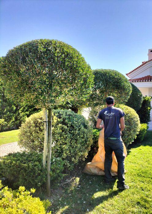 Serviços de jardinagem