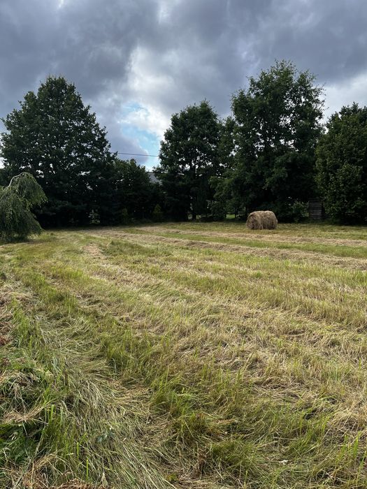 Dzialka budowlana 1000 m² - Widok 5