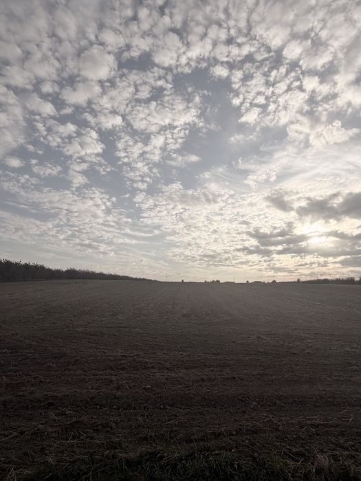 Działka rolna 1,35 ha nr 422 w Kleczanowie, gmina Obrazów:asfaltowy dojazd - Widok 2