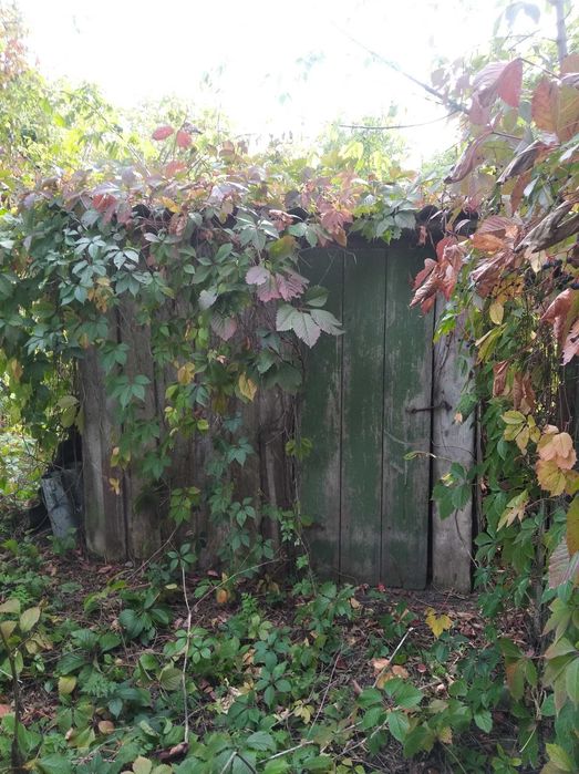 Продам будинок 10 км. від міста Хорол.