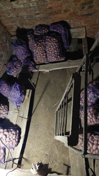 Продам дачу в селі Кіїнка