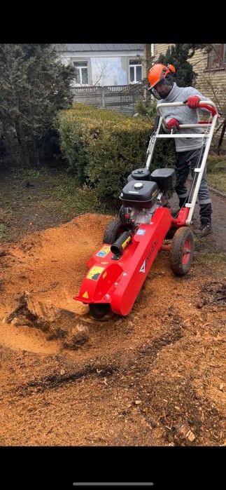 Розліснення ділянки, щепування, подрібнення гілок, зрізання дерев