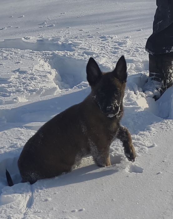 Мальчики и девочки. Малинуа.