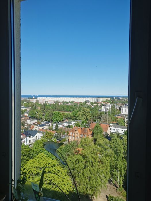 Pokój jednoosobowy Oliwa - Widok 5