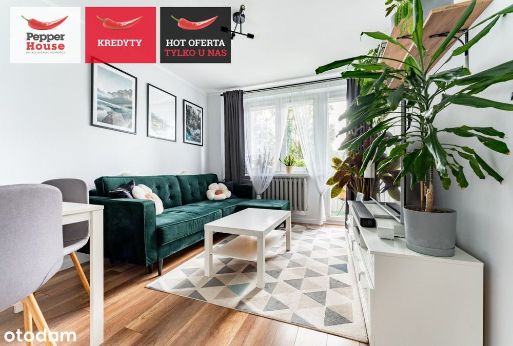 3 pokojowe mieszkanie po remoncie | balkon | winda