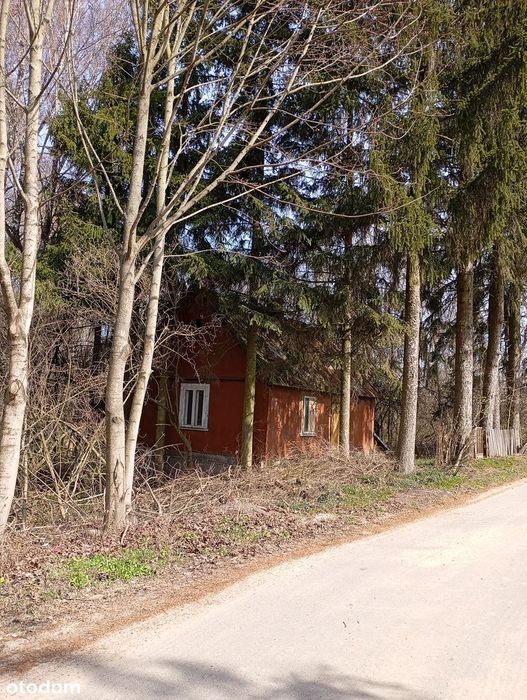 Działka siedliskowa z domem blisko Bugu. - Widok 2