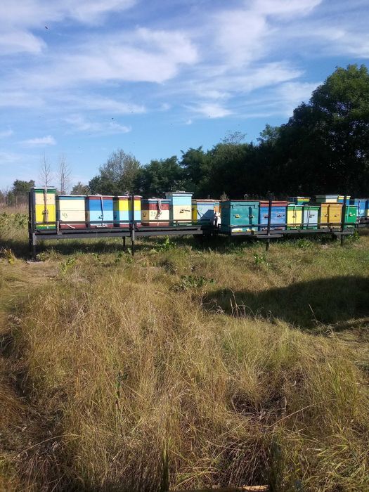 Продам причіп платформу із знімним модулем для перевезення вуликів