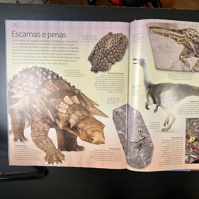 Dinossauros – Olhos nos Olhos