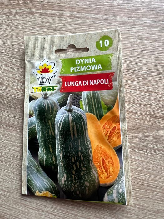 Dynia piżmowa sadzonka