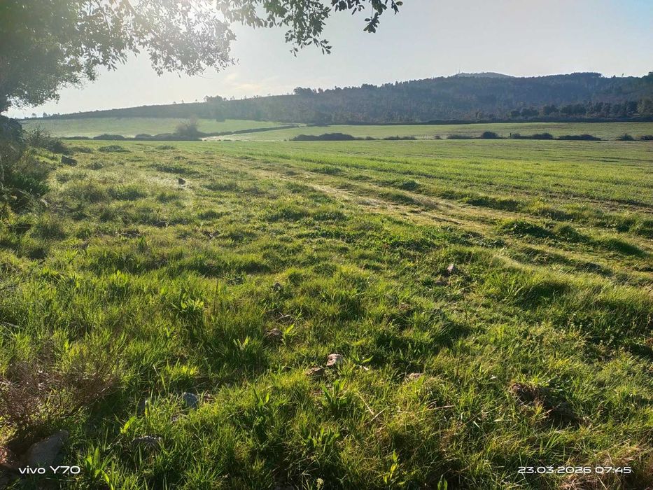 Magnífico monte/herdade, 25 hectares de pura natureza, ideal para quem procura tranquilidade/investimento