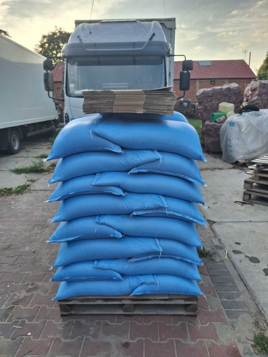 Lucerna Premium Jasna I Czysta Sprawdzona Pewna Wysyłka Free Koniczyna