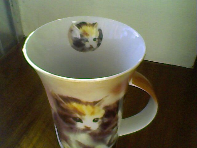Caneca 'Gatinhos' (NOVA)