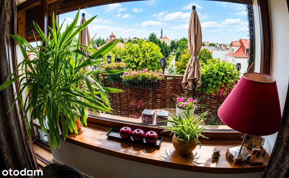 65,38 m² | ostatnie piętro | piękny widok | Chorzeń