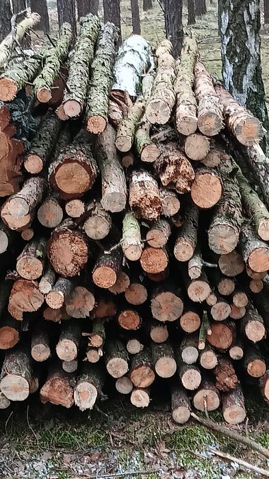 Drewno  opałowe/ kominkowe