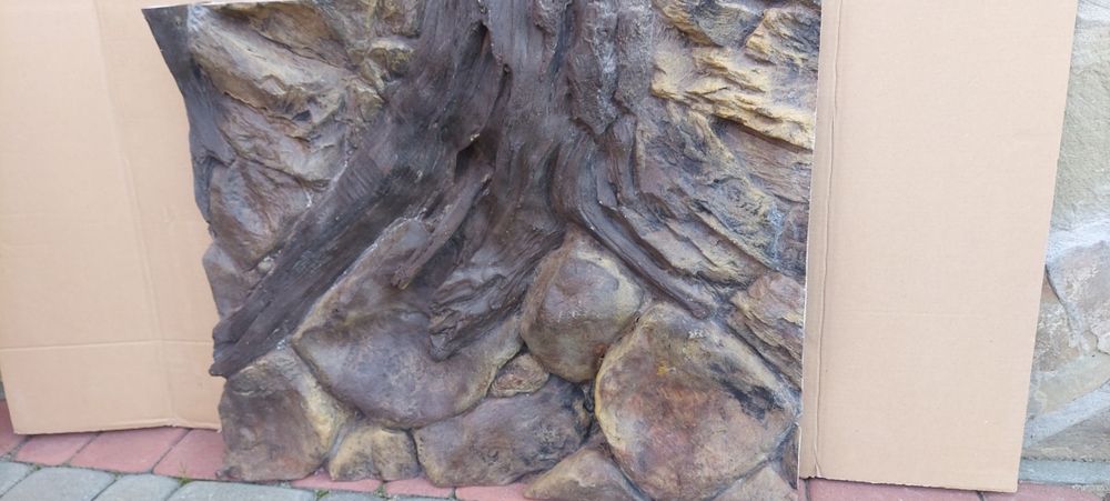 Tło strukturalne amazonka