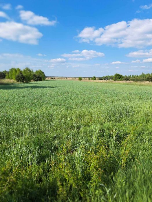 Dzialki budowlane