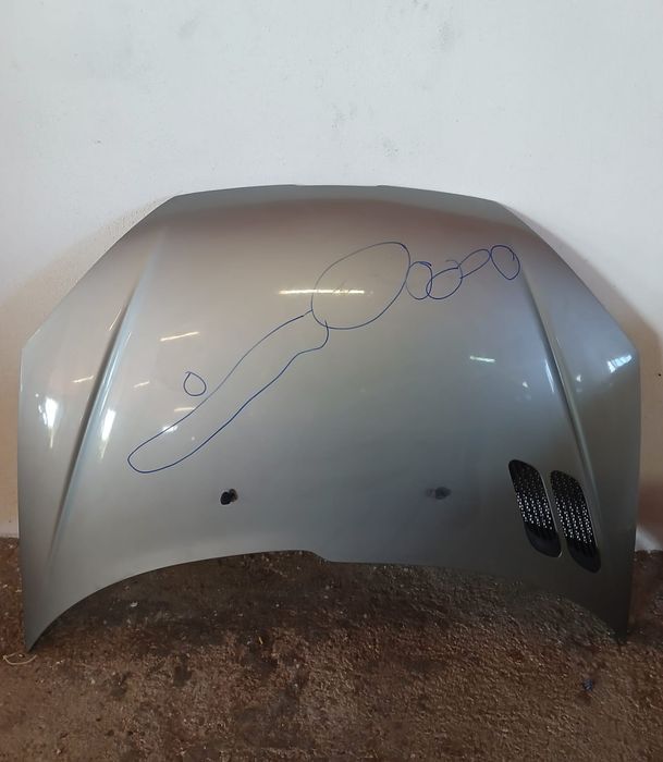 Capot peugeot 206 ano 2004