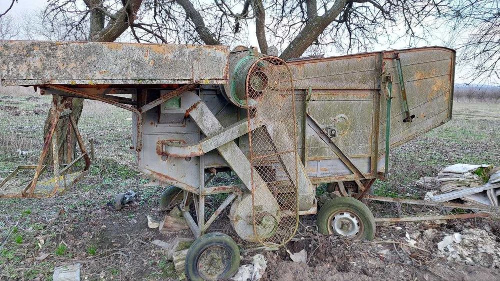 Молотарка польська.