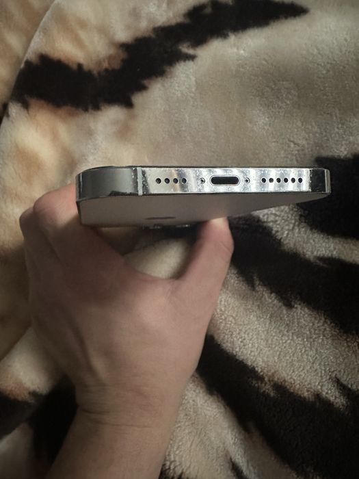 Iphone 13 PRO MAX silver 256gb