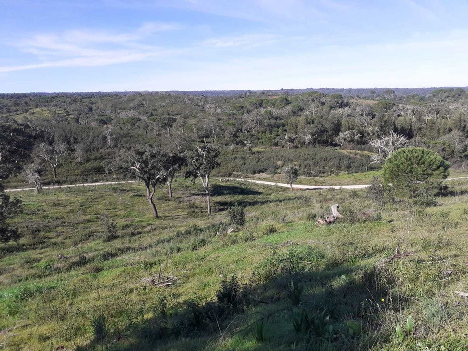 Monte Alentejano 21ha  com casa de 300m2 construída e licenciada