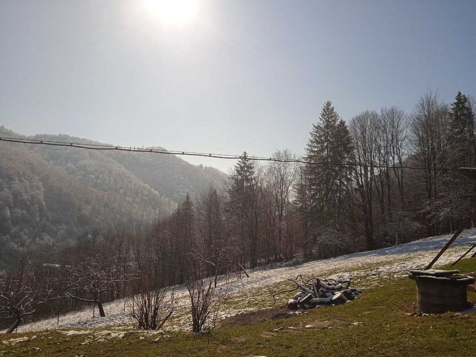здаються будиночки в Карпатах з краєвидом