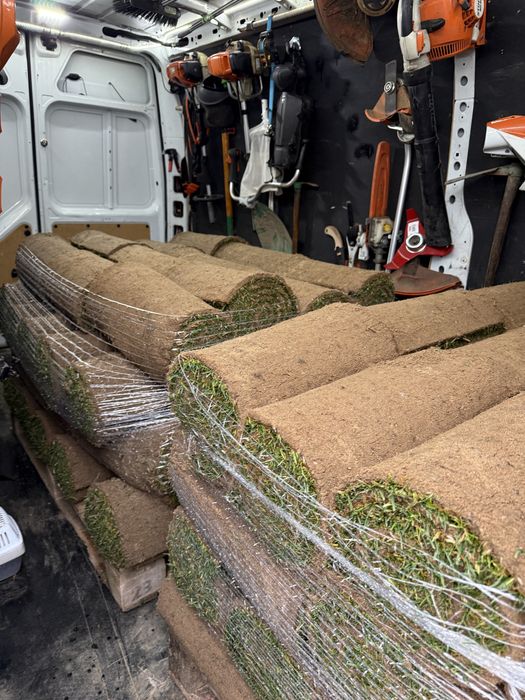 Relva natural em tapete